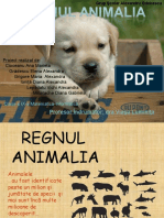 97124441-Regnul-Animalia.ppt