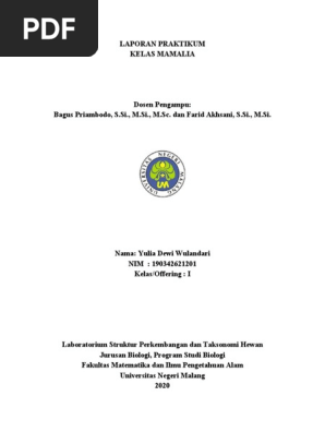 Yulia Dewi W - 190342621201 - Laporan Praktikum Mamalia  PDF