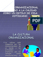 Cultura Organizacional (Cándido)