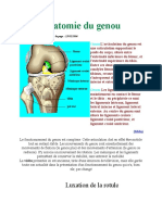 Anatomie Du Genou