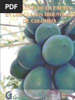 Download Cultivo de la papaya by solucionesbless SN48798516 doc pdf