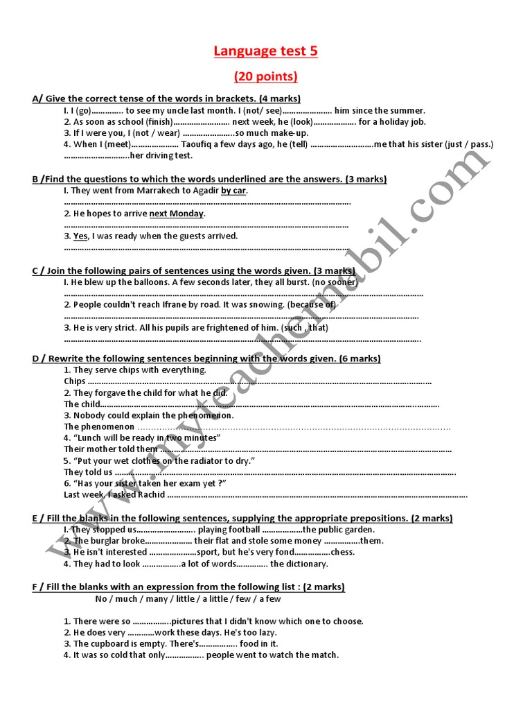 Language Test 5: (20 Points) | PDF | Cognitive Science | Linguistics