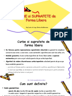 2 - CURBE si SUPRAFETE DE FORMA LIBERA - Introducere