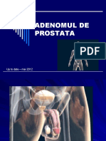 5. adenomul_de_prostata_2012