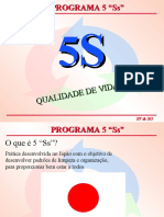 _5S_Programa de Qualidade e Padronização