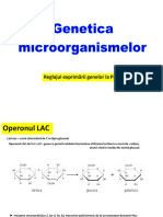 7 - 2 - GM Reglaj PK - 2 Op LAC - NC