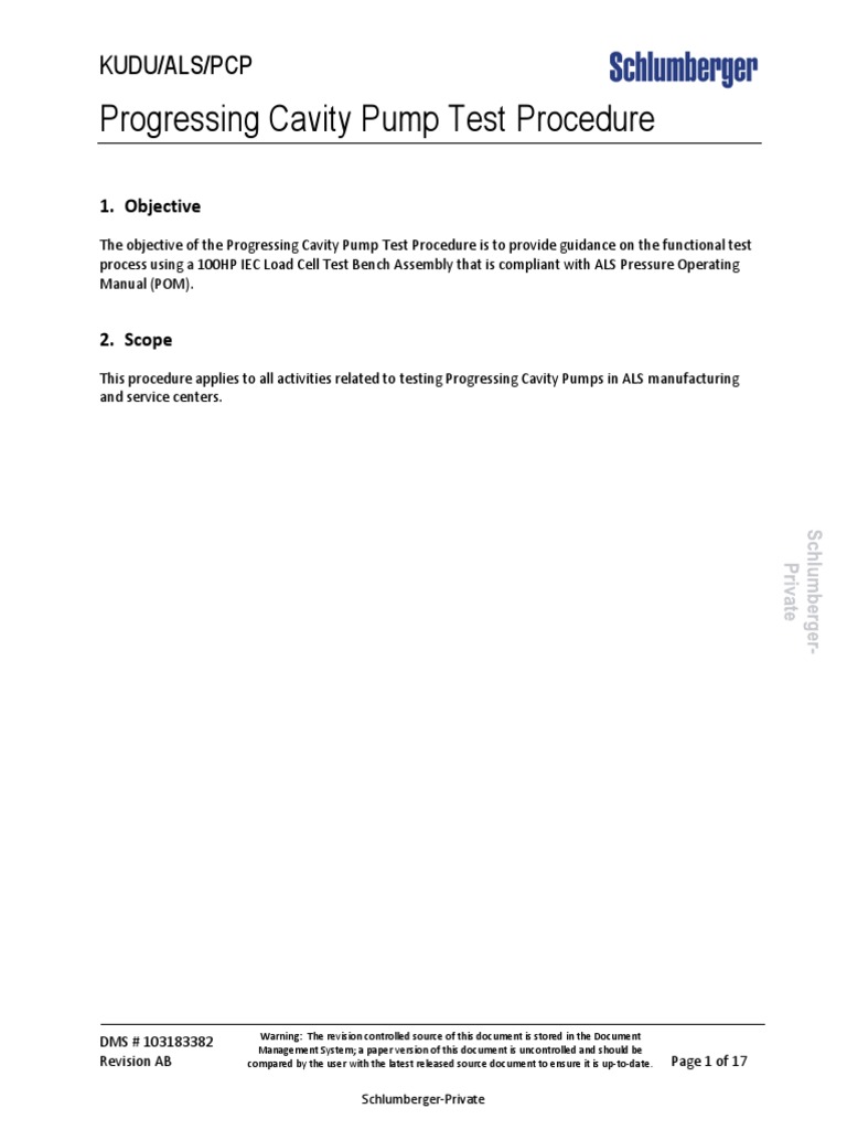 Progressive Cavity Pump Testing Guide | PDF | Version Control | Pump