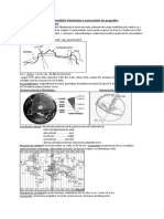 Caracteristicile Pamantului Si Consecintele Lor Geografice