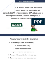 DDS Analise de Acidentes e Incidentes PDF