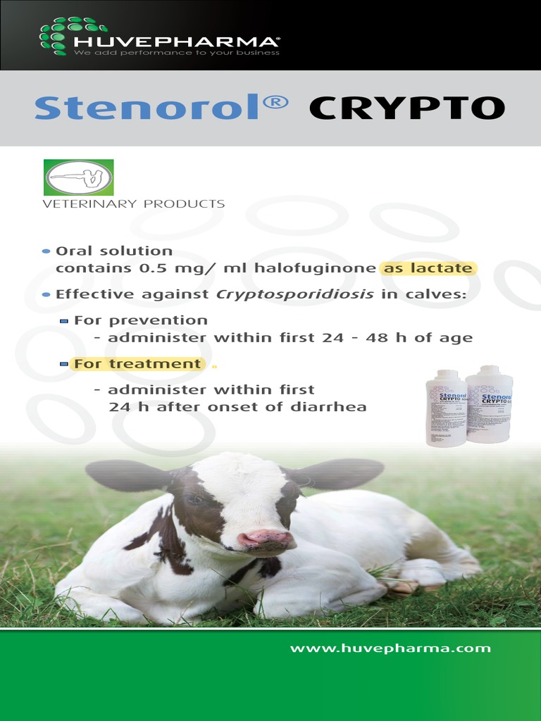 Stenorol® CRYPTO for Calf Care | PDF