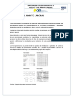 Pruebas en El Ámbito Laboral PDF