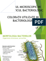  EX. microscopic in  bacteriologie