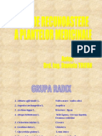 Ghid de Recunoastere A Plantelor Medicinale PDF
