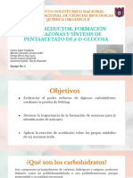 3FM1-Seminario Carbohidratos-Equipo 4 PDF