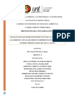 Grupo D1 PDF