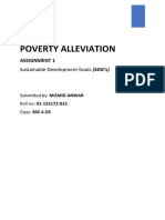 Poverty Alleviation Assignment
