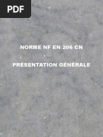 Norme NF 206 CN PDF