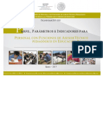 PPI_ATP.pdf