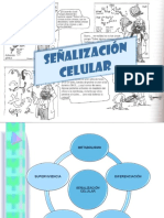 Señalización Celular
