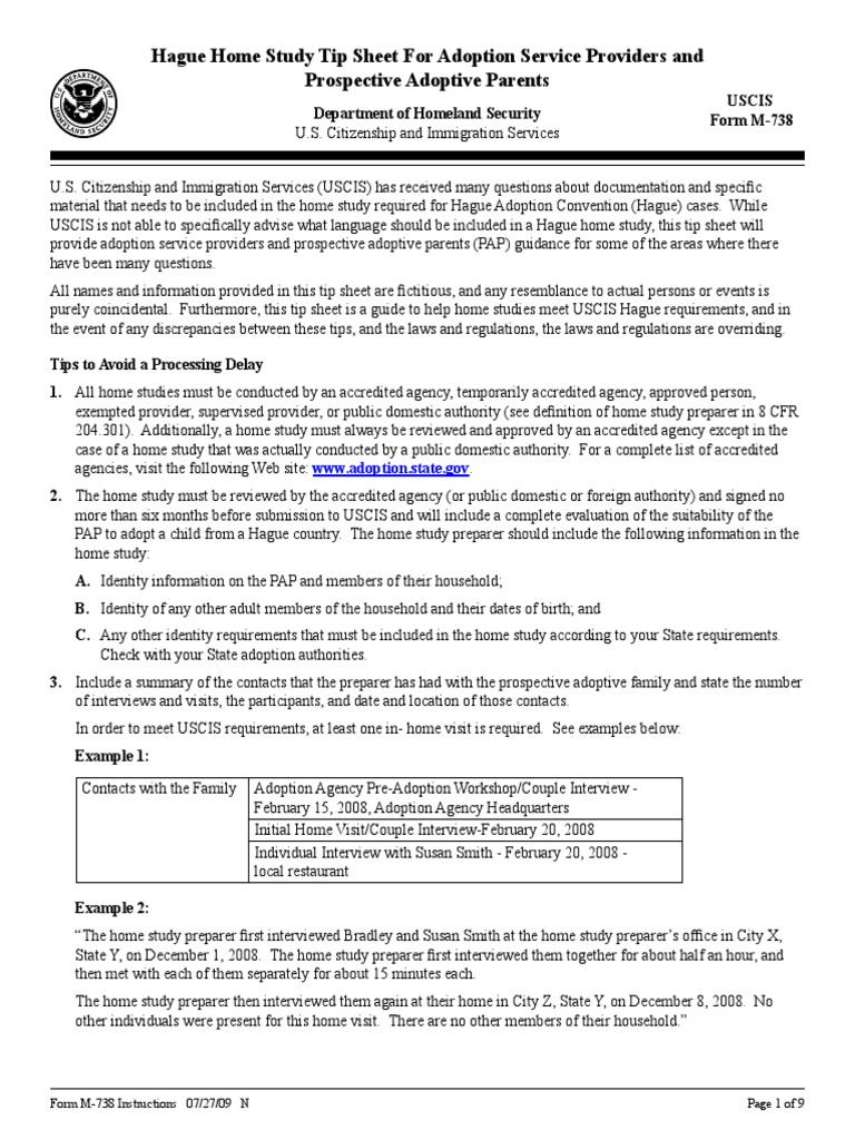 Hague Adoption Process | PDF | Criminal Record | Special Education