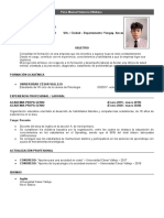 Formato CV