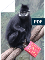 12 Days Monkey With Gift Crop