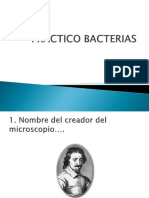 Microbiología: clasificación y técnicas de coloración de bacterias