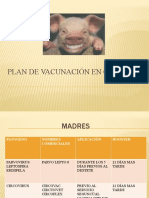 PLAN_DE_VACUNACIN_EN_CERDOS_1.pptx