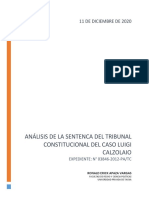 ANÁLISIS DE LA SENTENCA DEL TRIBUNAL CONSTITUCIONAL DEL CASO LUIGI CALZOLAIO - APAZA - VARGAS.Ronald - Erick PDF