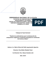 ValleLeguizamónSilviadelTesisA.pdf