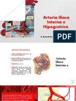 Arteria Iliaca Interna o Hipog Strica: K. Beiruth de Le N Ó