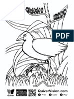 Pukeko Ñandu para Colorear PDF