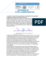 Actividad Mme 20 Digestion Carbohidratos