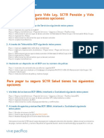 Formas de Pago Seguro Vida Ley Vida Grupo SCTR PDF