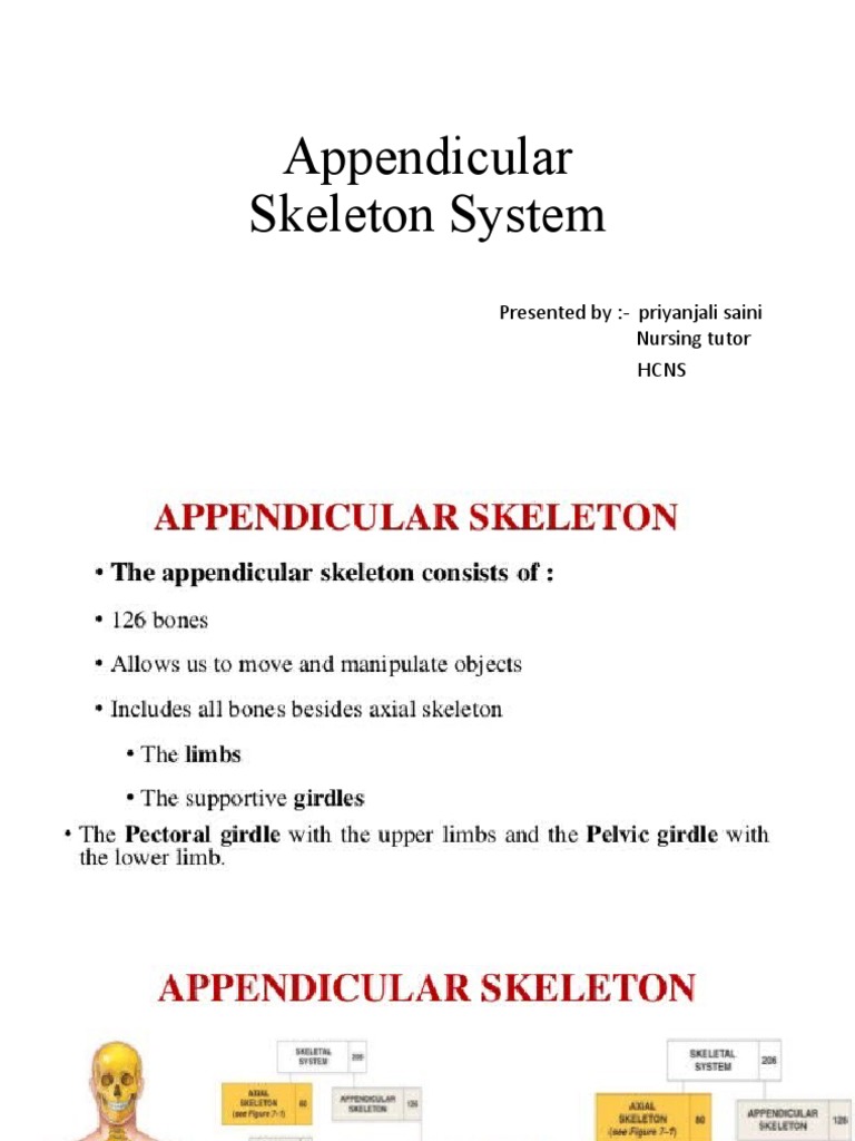 Appendicular Skeleton System: Presented By:-Priyanjali Saini Nursing ...