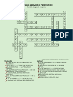 CRUCIGRAMA SISTEMA NERVIOSO PERIFERICO (1).pdf