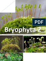 Moss Guide: Bryophyta 2