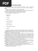 Anatomia Organelor Genitale Feminine MG | PDF