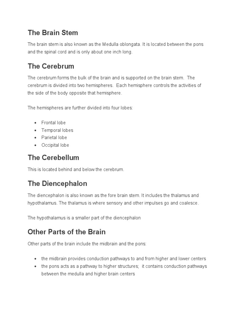 Overview of Brain Anatomy and Functions | PDF