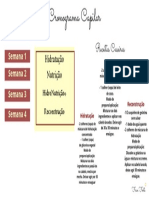 Cronograma Capilar PDF