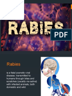 Rabies