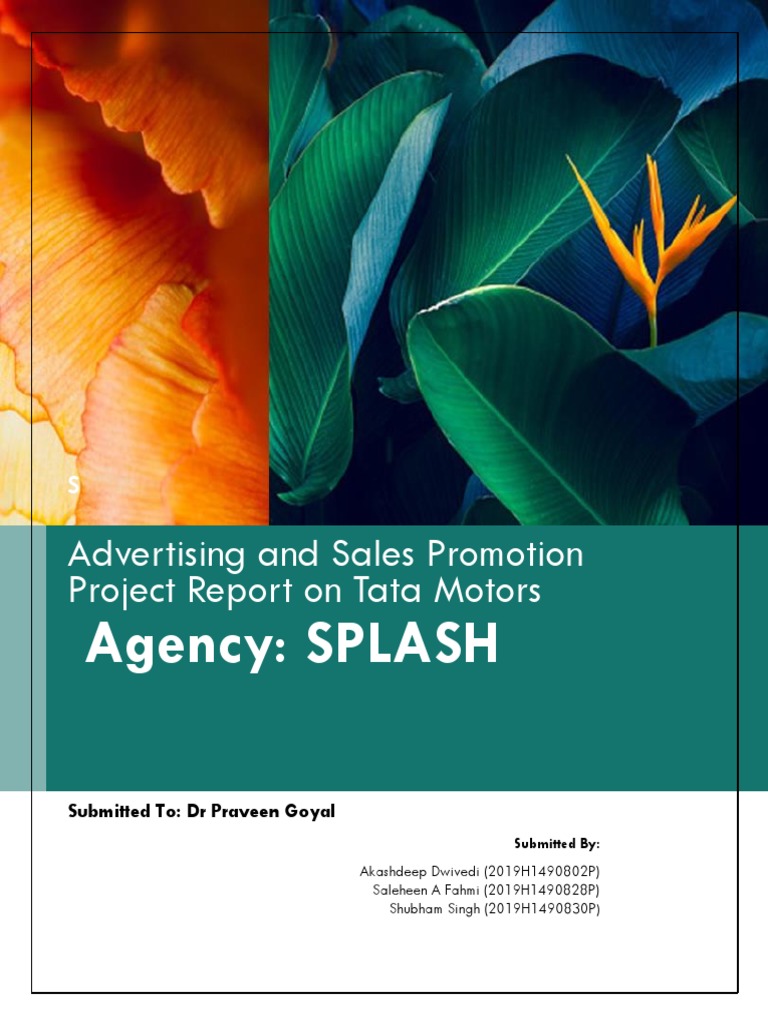 ASP Project Report Group - Splash | PDF | Digital Marketing | Advertising