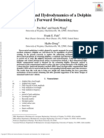 6.2020-3015 Dolphin Wake Structure