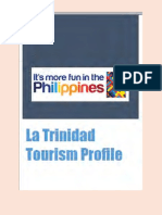 TourismProfileFinal - La-Trinidad