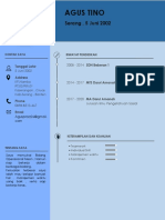 CV Agustino PDF