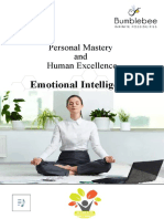 Emotional Intelligence: Personal Mastery and Human Excellence