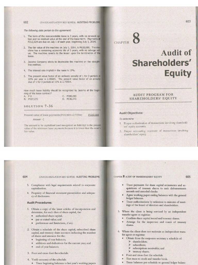 Auditing Problems Gerardo Roque - Removed-1-10 PDF | PDF