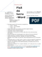 1 Fisa Word Sisteme de Calcul