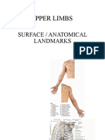 PPP - Upper Limbs - Gross Ana 1