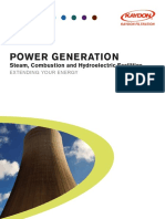 Power Generation: Steam, Combustion and Hydroelectric Facilities